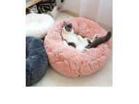 Purrfect Tips For New And Old Pet Cat Owners