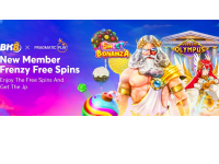 Exploring the Interface at the BK8 Casino