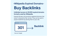 <p>You’ve heard the hype – a Wikipedia backlink is one of the most rel
